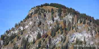 Alpen ohne Ausblick? Forscher warnen vor fataler Verschiebung der Baumgrenze - FOCUS Online