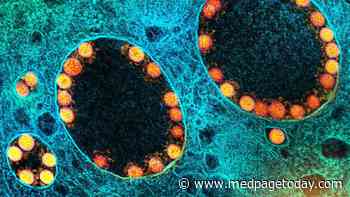 Olfactory Axon Injuries, Microvascular Pathology Seen in COVID-19