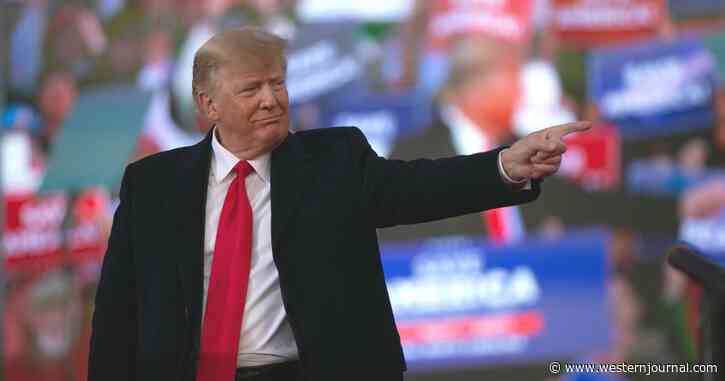 Trump Makes Huge Endorsement in Critical Race That Could Swing Balance of Congress