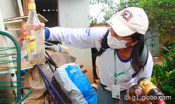 Dengue: Birigui registra primeira morte do ano - g1.globo.com