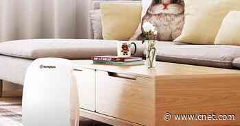 Breathe Easier With Over $100 Off This Westinghouse Air Purifier     - CNET