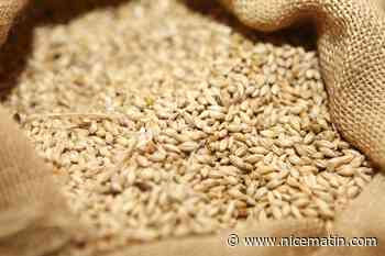 Guerre en Ukraine: la Russie "provoque la faim dans le monde" selon le chef de la diplomatie européenne