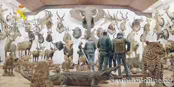 Elefanten, Nashörner, Tiger: der geheime Zoo der toten Tiere