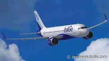 IndiGo becomes sixth-largest airline by passenger volume globally, says aviation report - Zee News