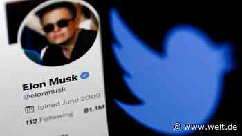 Verwaltungsrat? Nein, danke! – So kann Musk die Schwächen von Twitter offenlegen
