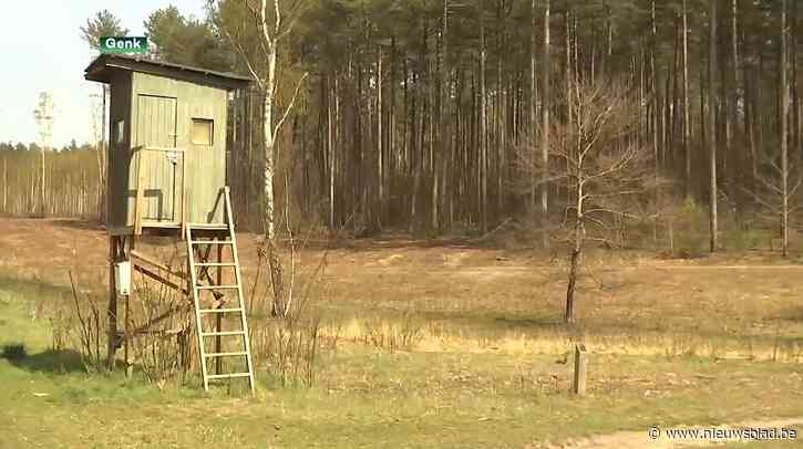 Limburgse gemeenten schieten 2.846 everzwijnen dood in één jaar tijd