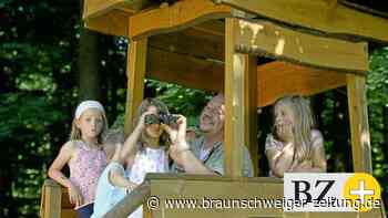 Ferien in Peine – das ist kostenlos  zu sehen und zu erleben