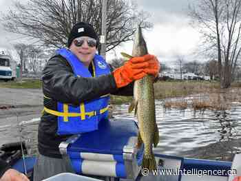 Kiwanis Walleye World Fishing Derby cancelled for third straight year - Belleville Intelligencer