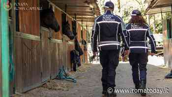 Liberato il galoppatoio di Villa Borghese, aveva la concessione scaduta dal 2017