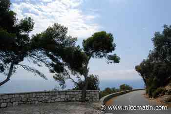 Sécheresse, mégots, hausse de la fréquentation... Les riverains alertent sur le risque d'incendie au Mont Boron