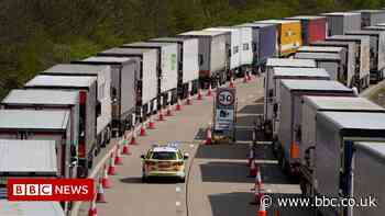 Priority for fresh goods at Dover not realistic, minister says