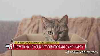 6 On Your Side: Consumer Confidence, How to make your pet happy - KAAL