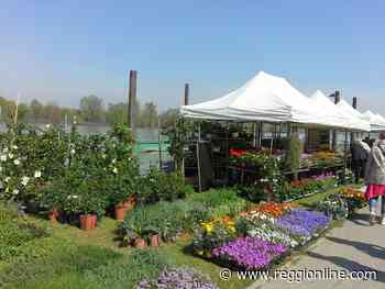 Guastalla, torna Georgica a Lido Po: il programma - Reggionline