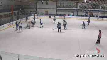 Hockey Marathon for kids charity set to break world record - Global News