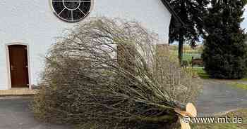 Unbekannte fällen illegal zwei Bäume auf dem neuen Friedhof in Häverstädt - Mindener Tageblatt