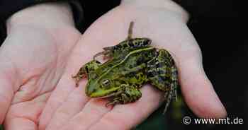 Landschaftsverband prüft neue Förderung für Biologische Stationen - Mindener Tageblatt