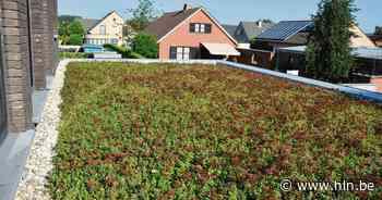 Kinderdagverblijf krijgt klimaatvriendelijke tuin en groendak | Wellen | hln.be - Het Laatste Nieuws