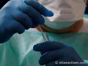 COVID-19: What you need to know on Monday, April 11