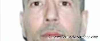 Meurtres dans le crime organisé : Coupable sur toute la ligne