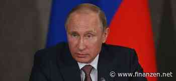 Treffen zwischen Putin und Österreichs Kanzler bringt wenig Optimismus: Der Krieg kennt nur Verlierer