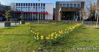 Woonloket heeft eigen website met woon- en energieadvies - Het Laatste Nieuws