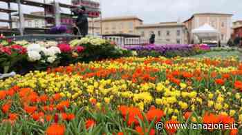 “Verde Pisa”, gli organizzatori: "Grande successo di pubblico. Stiamo già lavorando alla prossima edizione" - LA NAZIONE