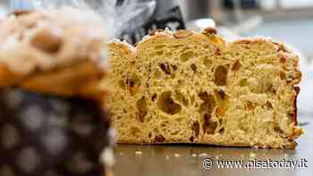 Dove comprare le colombe di Pasqua artigianali a Pisa - PisaToday