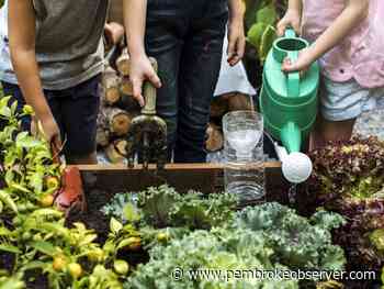 Ontario invests in agricultural and horticultural societies in Renfrew-Nipissing-Pembroke - Pembroke Observer