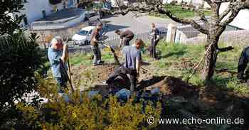 Heppenheim: Einsatz für den Bürgerpark - Echo Online