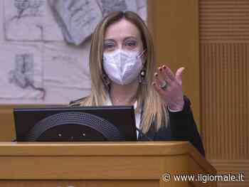 "Neonazista nell'animo": le accuse choc del prof a Giorgia Meloni