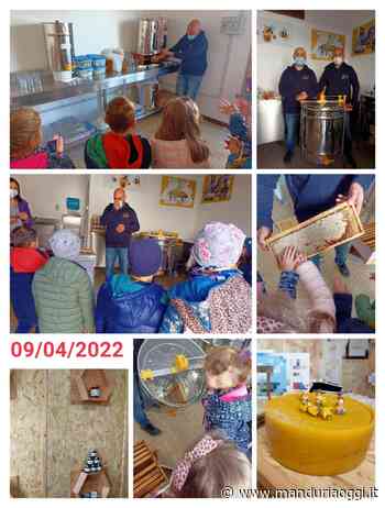 MANDURIA - I bambini della scuola dell'infanzia 'Sacra Famiglia' in visita all'azienda di apicoltura Alisi - ManduriaOggi