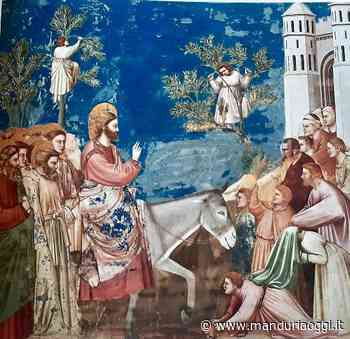 Biblioteca Live - Aspettando la Pasqua, a cura di Archeoclub Manduria: la festività delle Palme - ManduriaOggi