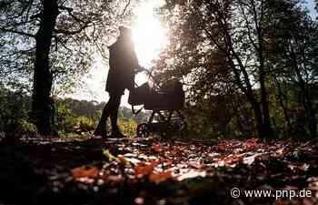 Im Wald liegende Frauenkleidung löst Suchaktion der Polizei im Rottal aus - Passauer Neue Presse - PNP.de