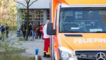 Polizei überwältigt aggressiven Mann (32) und rettet Kind (4) aus Wohnung - B.Z. – Die Stimme Berlins