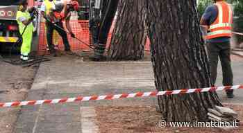Benevento, il Comune accelera ma arriva la diffida contro i 26 tagli - ilmattino.it