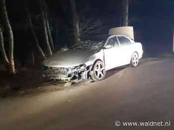 Man botst tegen boom en neemt vervolgens de benen - WâldNet