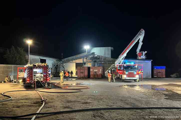 Inferno in houtzagerij vermeden dankzij eigenaar en brandweer: “zijn bluspogingen hebben brand vertraagd”