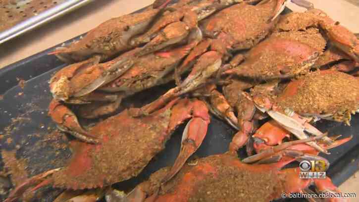 Union Chesapeake Seafood House To Take Over Phillips Crab House Ocean City