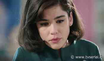 Il Paradiso delle Signore 6, cosa è disposto a fare Marco per Stefania? - TVSerial.it