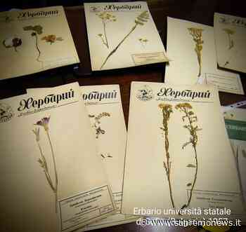 Il fascino della collezione di 'erbari' dell'agricoltore-scrittore di Camporosso Marco Damele - SanremoNews.it
