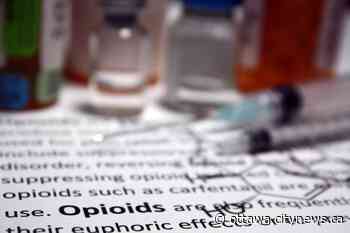 Ottawa Inner City Health executive director says more needs to be done with opioid crisis - Ottawa.CityNews.ca