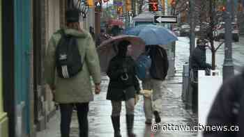 Cloudy and cool with a chance of showers - CTV News Ottawa