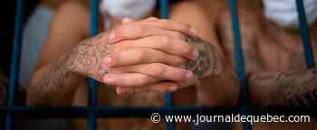 Une membre du gang hispanique MS-13 condamnée à New York pour un quadruple meurtre