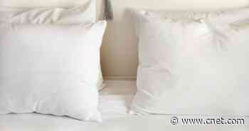 Best Silk Pillowcases for 2022     - CNET