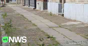 Gemeente Zele zoekt vrijwilligers om voetpaden te controleren of ze smerig of kapot zijn: "Zoeken vooral rolstoelgebruikers" - VRT NWS
