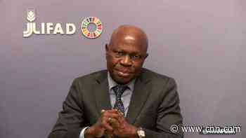 Stockpiling 'has already started', UN official says amidst record food prices