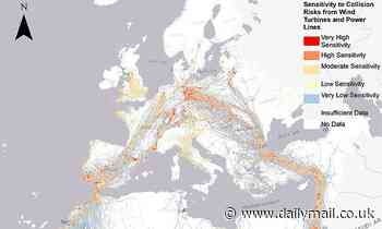 Wind turbines 'taking deadly toll on migrating birds': Map highlights 'collision hotspots'