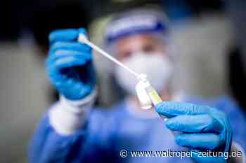 Gesundheitsamt meldet weiteren Todesfall für Waltrop - Waltroper Zeitung