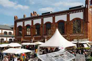 Alpaka-Dünger und magische Kräuter bei Manufactum-Gartentagen in Waltrop - Waltroper Zeitung