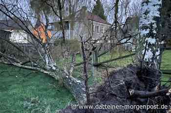 Sturm fegt über Datteln, Oer-Erkenschwick und Waltrop – sehr heftig - Dattelner Morgenpost